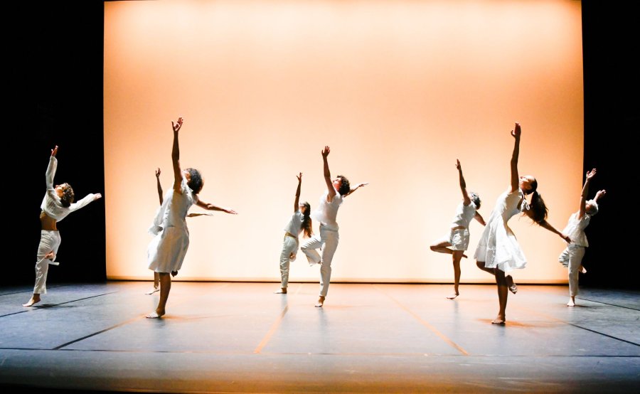 École de danse ASSOCIATION NEW DANSE STUDIO à BRIVE-LA-GAILLARDE